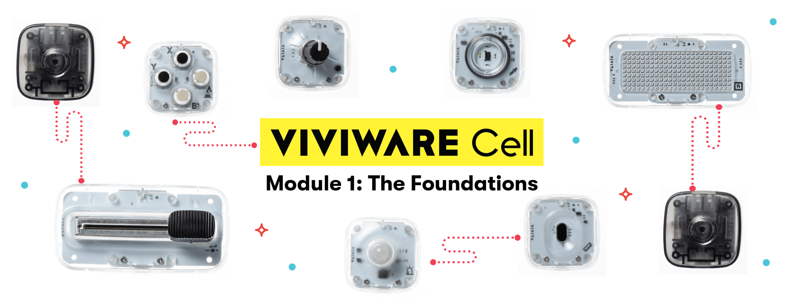 Viviware Cell 1, Part B: The Foundations